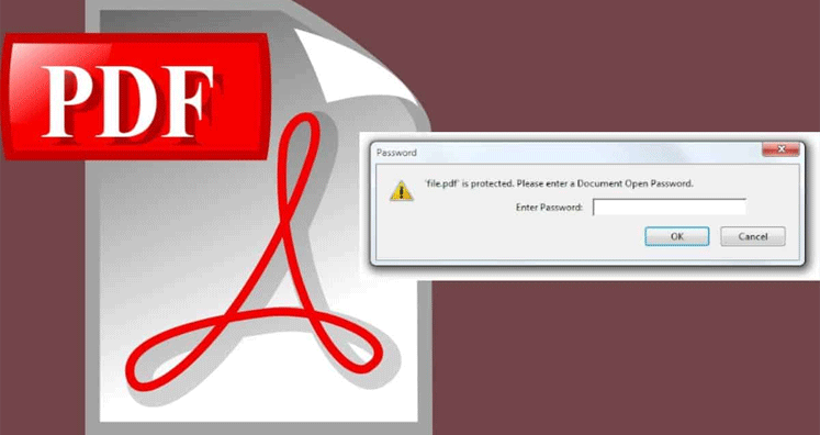 How to Open Password Protected PDF file